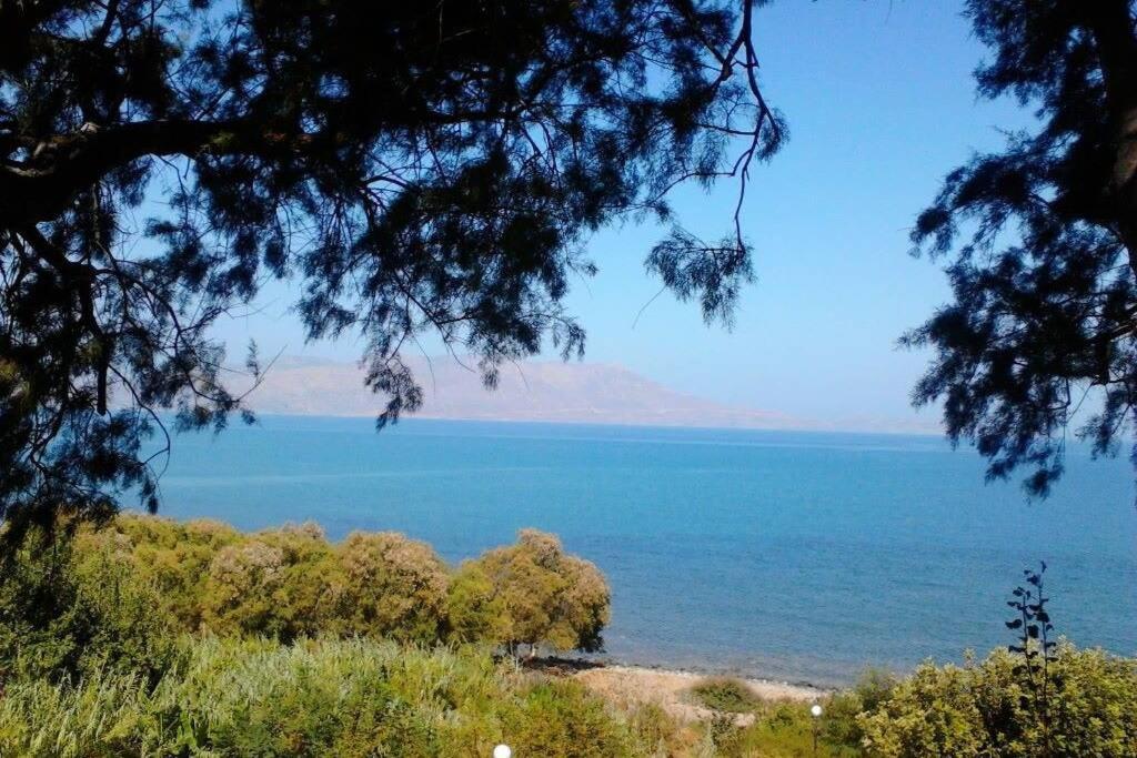 Kaktos 1 Villa Kíszamosz Kültér fotó