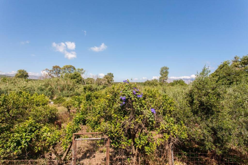 Kaktos 1 Villa Kíszamosz Kültér fotó