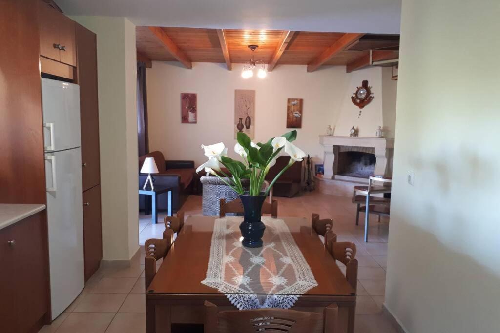 Kaktos 1 Villa Kíszamosz Kültér fotó